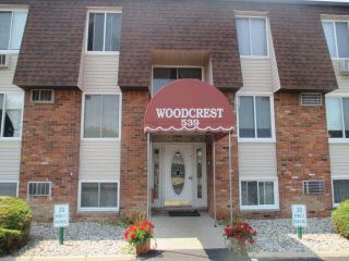 Foreclosed Home - 539 John Anderson Ct Apt 89, 48162