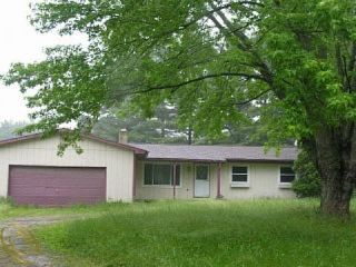 Foreclosed Home - 17202 DONOHUE RD, 48169