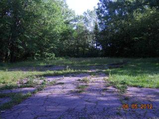 Foreclosed Home - 30908 VAN BORN RD, 48186