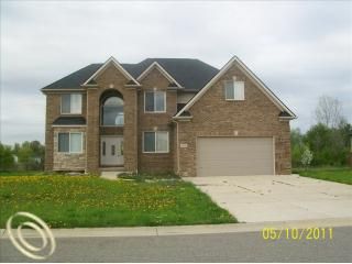 Foreclosed Home - 8391 JACK PINE DR, 48197