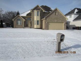 Foreclosed Home - 51143 CHRISTINE CT, 48316