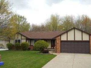 Foreclosed Home - 53132 WOLF DR, 48316