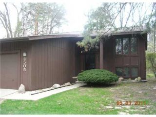 Foreclosed Home - 6505 BLUE SPRUCE CT, 48324