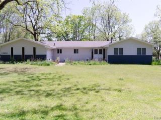 Foreclosed Home - 13800 LONE TREE RD, 48380