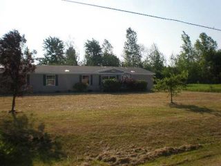 Foreclosed Home - List 100245370