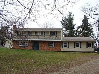 Foreclosed Home - 4875 HOUGH RD, 48428