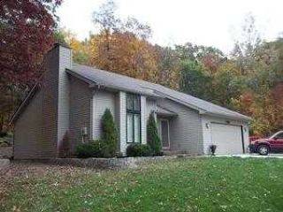 Foreclosed Home - 13481 IROQUOIS WOODS DR, 48430