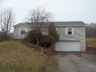 Foreclosed Home - 11263 GERMANY RD, 48430