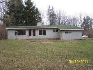 Foreclosed Home - 3815 BURNSIDE RD, 48464