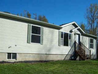Foreclosed Home - 1720 SAND RD, 48467