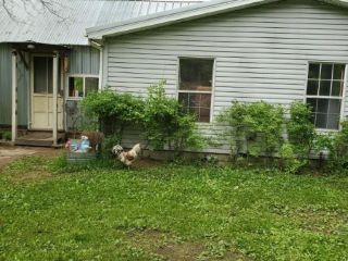 Foreclosed Home - 19650 ITHACA RD, 48614
