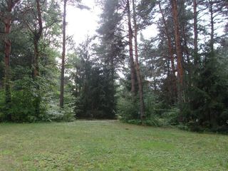Foreclosed Home - List 100893814