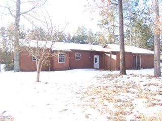 Foreclosed Home - 557 SOUTH ST, 48653