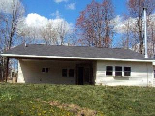Foreclosed Home - 8262 VAN DYKE RD, 48726