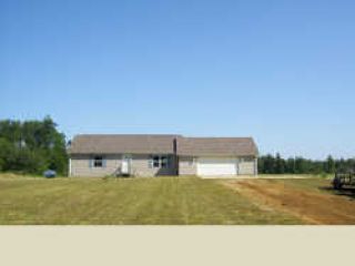 Foreclosed Home - 5791 BEVENS RD, 48741