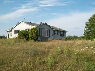 Foreclosed Home - 1964 E M 55, 48756