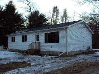 Foreclosed Home - 5438 RANDY DR, 48756