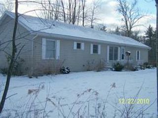 Foreclosed Home - 791 S MCARDLE RD, 48763