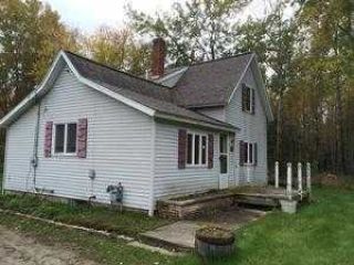 Foreclosed Home - 2097 Townline Rd, 48763