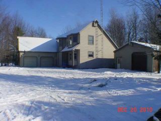 Foreclosed Home - 5435 ORMES RD, 48768