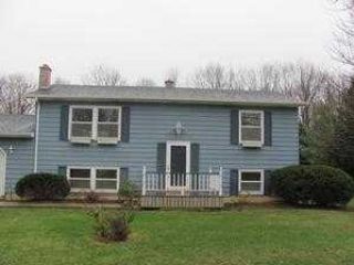 Foreclosed Home - 1313 BATTLE CREEK RD, 48813