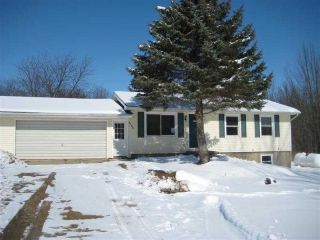 Foreclosed Home - 3785 PACKARD HWY, 48813