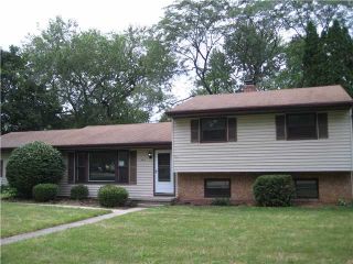 Foreclosed Home - 5213 BLUE HAVEN DR, 48823