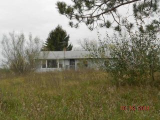 Foreclosed Home - 9652 BROWN RD, 48834