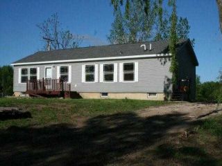 Foreclosed Home - 11533 OWOSSO RD, 48836
