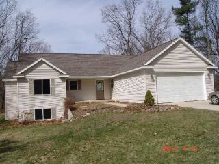 Foreclosed Home - 12231 STACEY WOODS CT NE, 48838