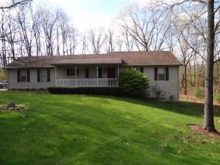 Foreclosed Home - 10845 TIMBERLINE RD, 48838