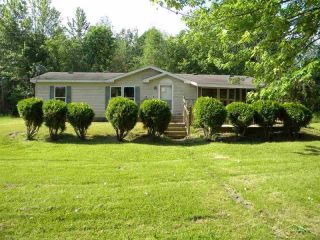 Foreclosed Home - 18205 W Peet Rd, 48841