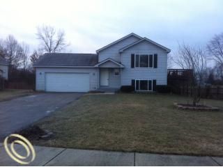 Foreclosed Home - 425 HENRY ST, 48843