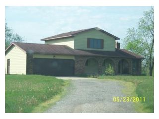 Foreclosed Home - 10200 TOWNER RD, 48875