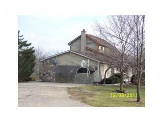 Foreclosed Home - 7405 S KREPPS RD, 48879