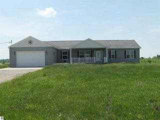 Foreclosed Home - 4657 BALL RD, 48880