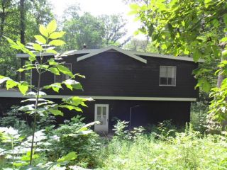 Foreclosed Home - 20147 BULHAND ST, 49031