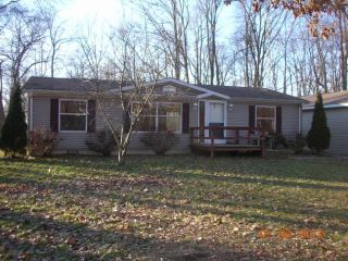 Foreclosed Home - 385 MUD LAKE DR, 49036