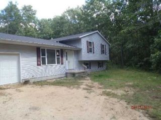 Foreclosed Home - 493 50TH ST, 49056