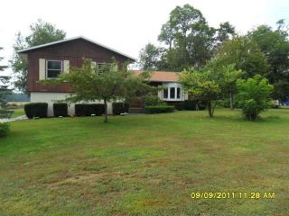 Foreclosed Home - 24561 US HIGHWAY 12, 49112