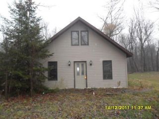Foreclosed Home - 534 JAMES ST, 49120