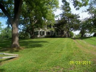 Foreclosed Home - 11540 MERCER RD, 49249