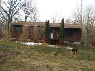 Foreclosed Home - 9305 KENNEDY RD, 49259