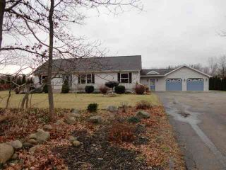 Foreclosed Home - 10960 CHURCHILL RD, 49277