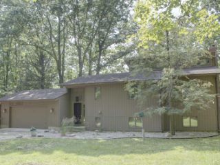 Foreclosed Home - 811 BLOOD RD, 49286