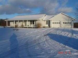 Foreclosed Home - 940 PETERS RD, 49303