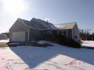 Foreclosed Home - 11391 FOREMAN FARMS CT, 49331