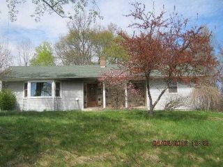 Foreclosed Home - 7040 W PARMALEE RD, 49333