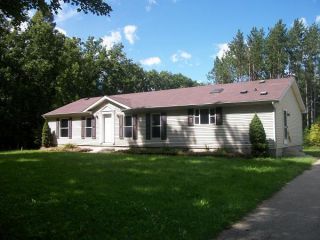 Foreclosed Home - 12230 MONROE RD, 49336