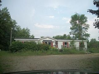Foreclosed Home - 9781 ELM AVE, 49337